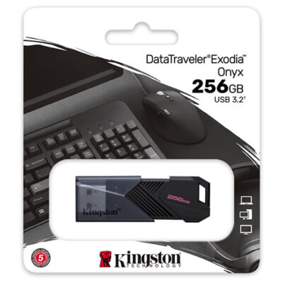 Kingston DataTraveler Exodia Onyx 256GB USB 3.2 Stick Γκρι